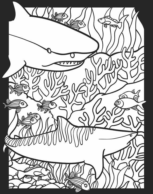 Childhood Education: Nocturnal Animals Coloring Pages Free 