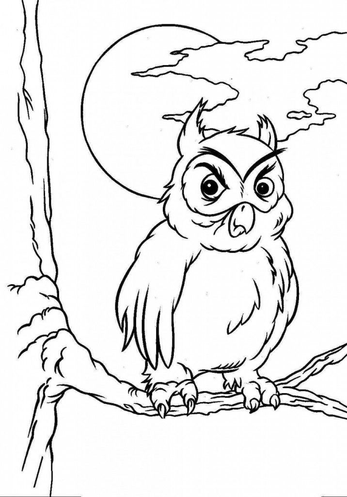 Holidays: Cool Halloween Owl Coloring Pages For Kids Picture 