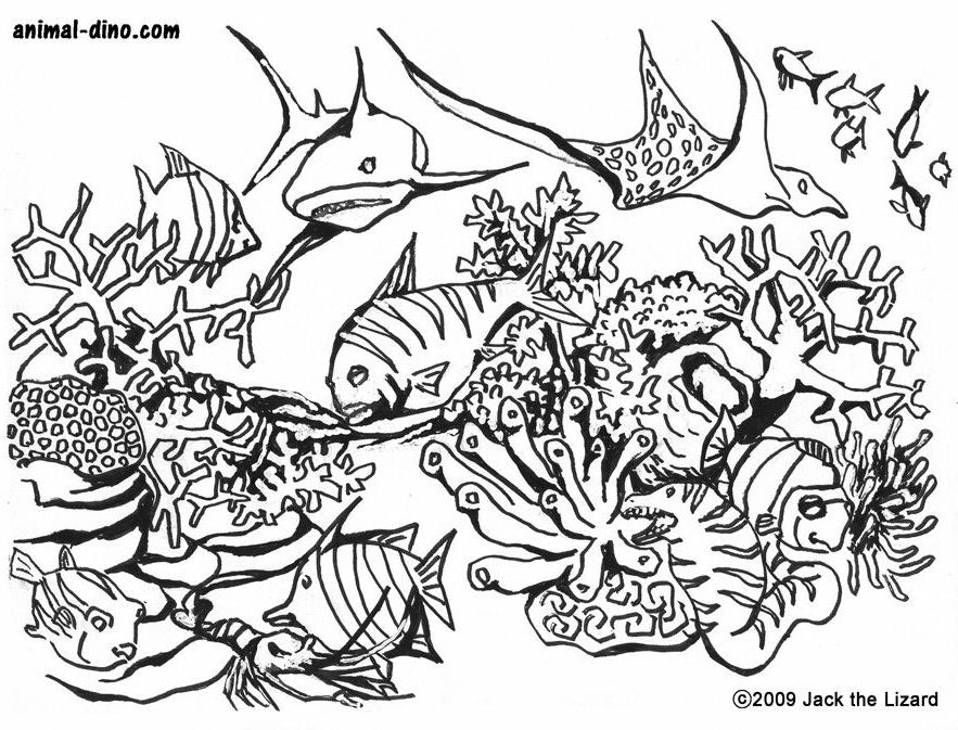 Under The Sea Coloring Pages - Coloring Home