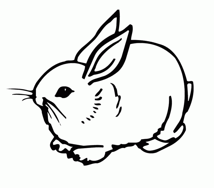 Rabbits Coloring Pages : Cute Rabbit Girl Coloring Page Kids 