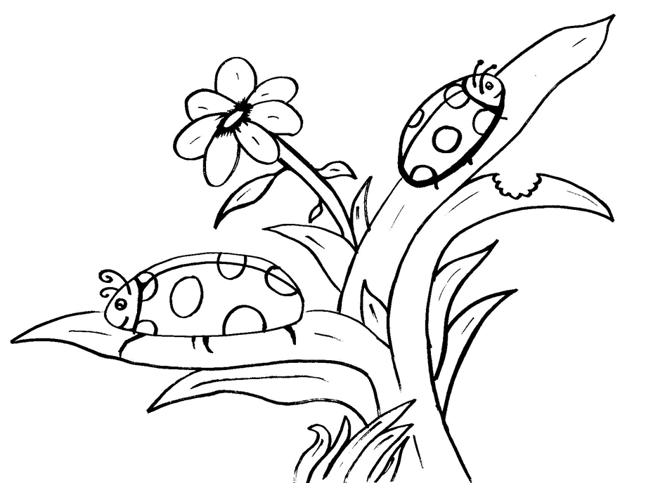 Ladybug Coloring Pages For Kids | Find the Latest News on Ladybug 