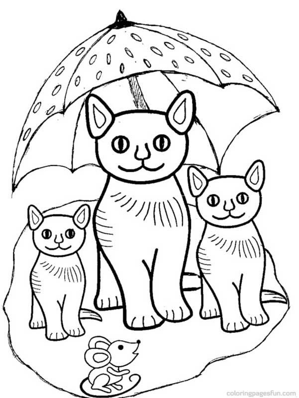 Three Little Kittens Coloring Page - Coloring Home