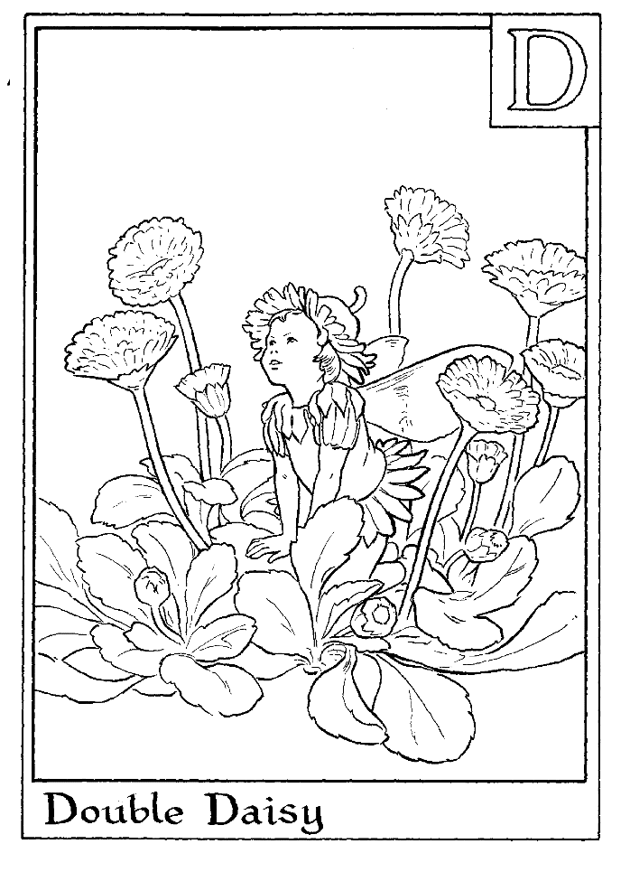 Print Letter D For Double Daisy Flower Fairy Coloring Page or 