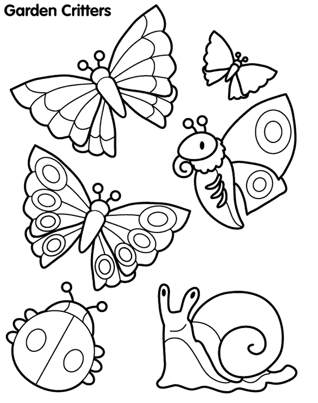 butterfly coloring page pages to print