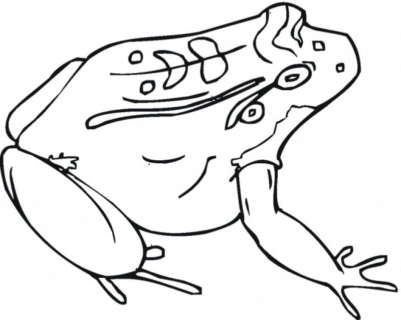Frog And Toad Are Friends Coloring Pages Coloring Home