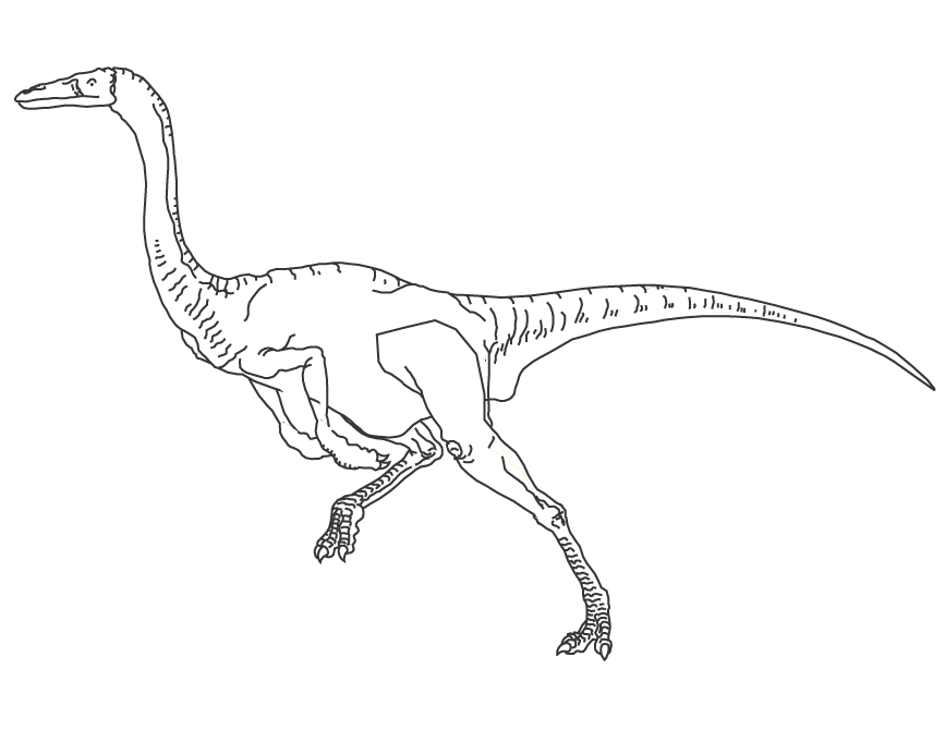 Gallimimus Dinosaur Coloring Page | Free Printable Coloring Pages
