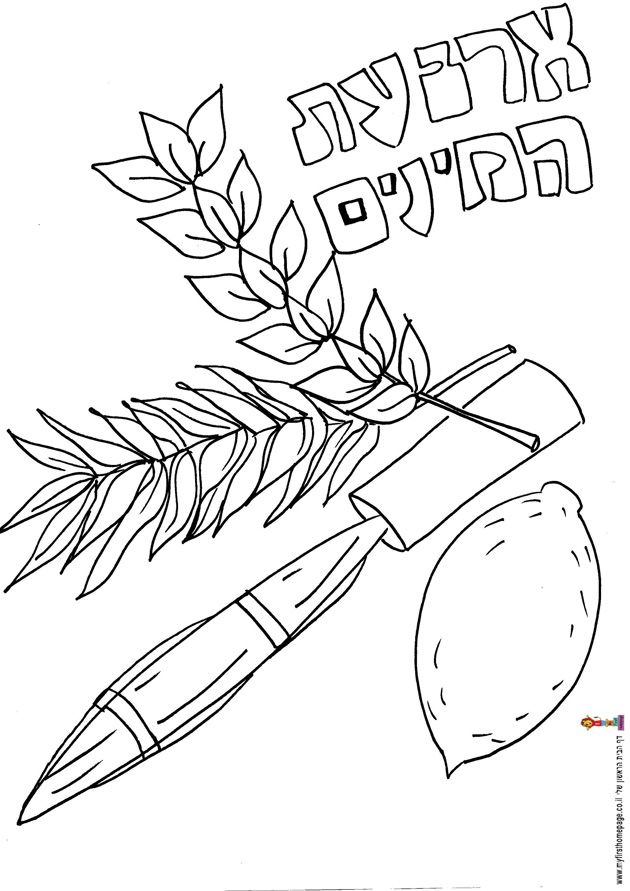 Sukkot Colouring Pages (page 2)
