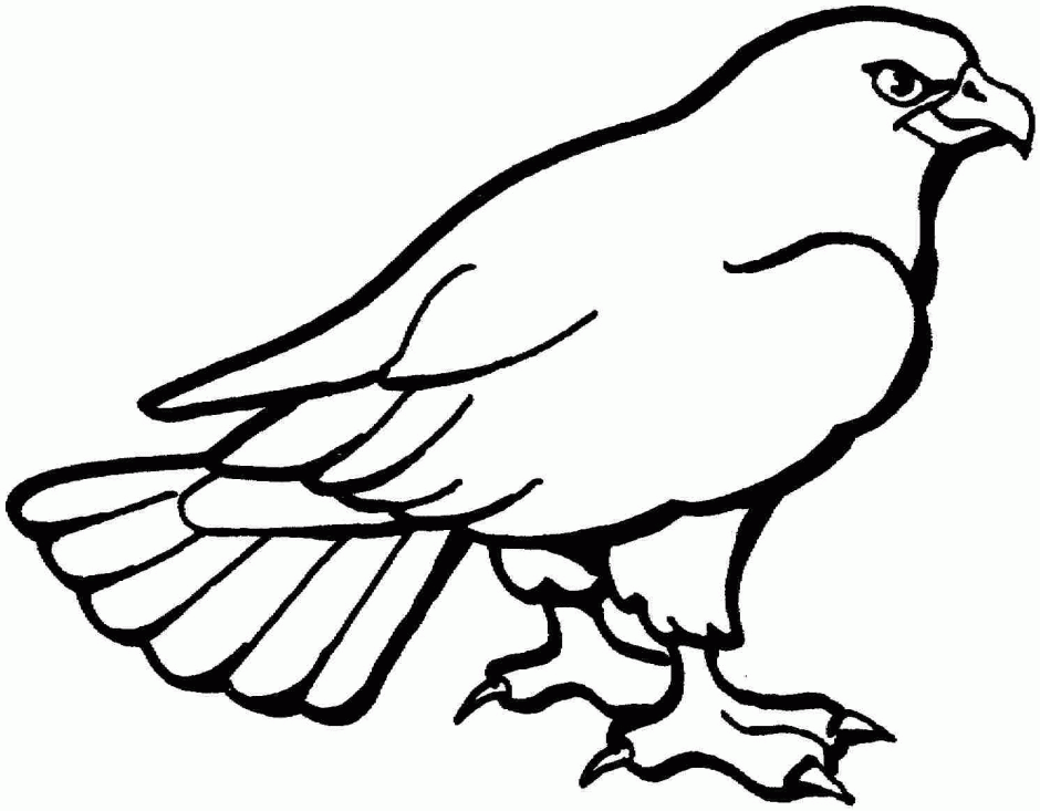 Printable Coloring Pages Eagle Coloring Pages Coloring Pages For 