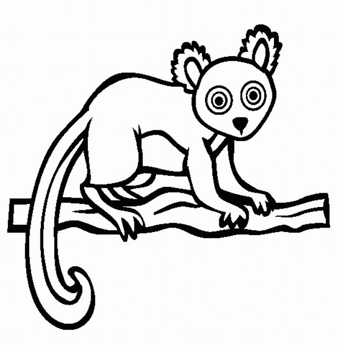 lemur coloring pages | Coloring Picture HD For Kids | Fransus 