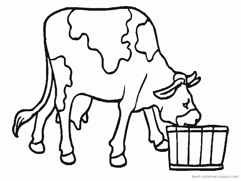 Pictures Of Cows And Horses - Coloring Home