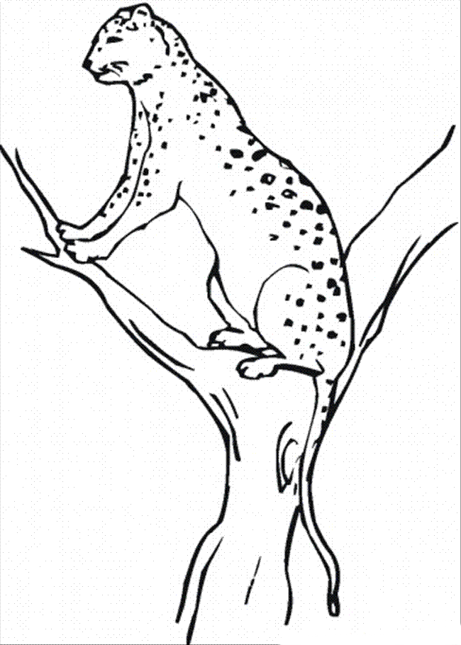 Realistic Coloring Pages Of Animals - Coloring Home