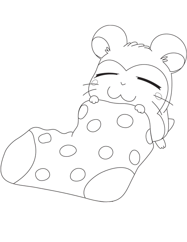 Hamster Coloring Pages for Kids | Kids Coloring Page