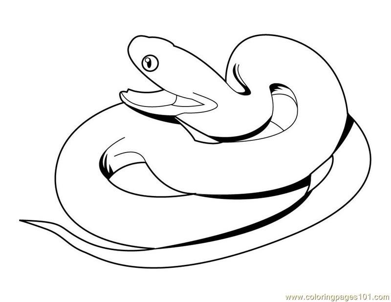 Animal Coloring Free Printable Coloring Page Snake (Reptile 