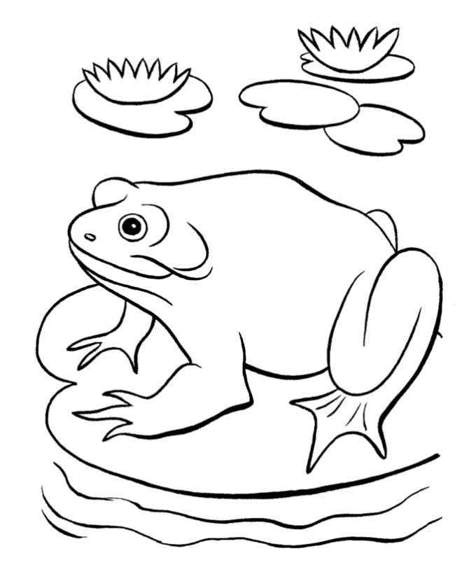 Frog in the Pond Coloring Page: frog-in-the-pond-coloring-pages 