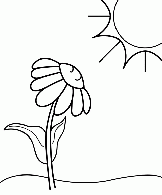 Daisy Flower Coloring Pages Free | Online Coloring Pages