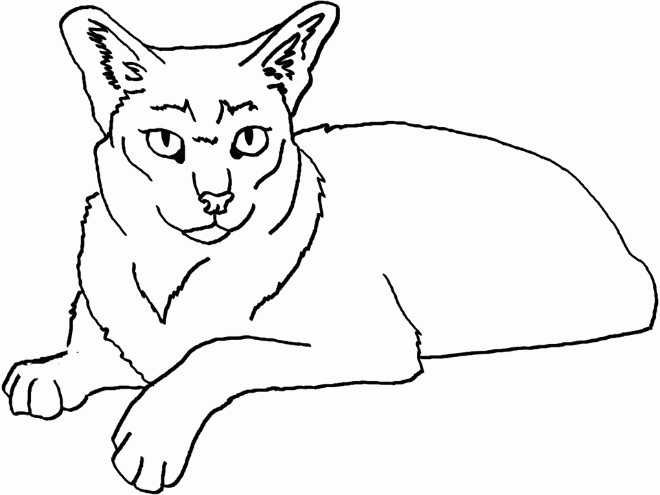 The Jungle Cat Coloring Pages - Cat Coloring Pages : IKids - Coloring Home