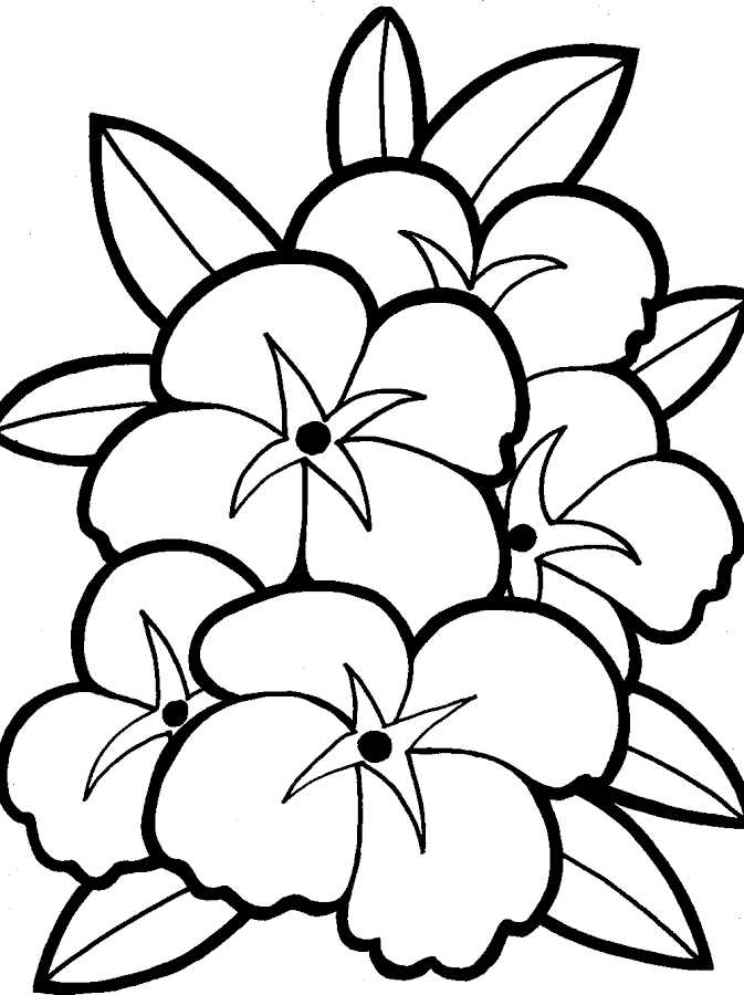 Flowers Coloring - Android Apps on Google Play