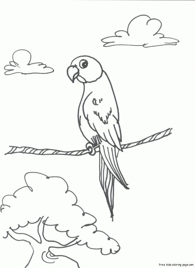 Print out bird Parrots coloring pages for childrens - Free 