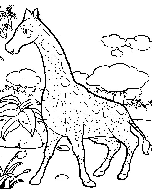 Coloring Page - Giraffe animals coloring pages 2
