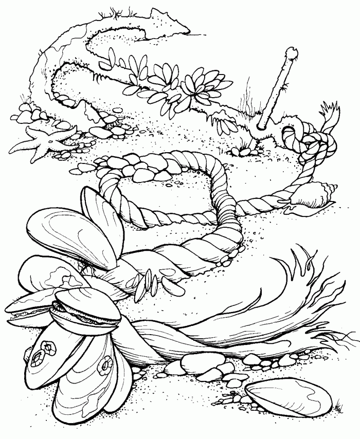 Ocean Coloring Pages For Adults