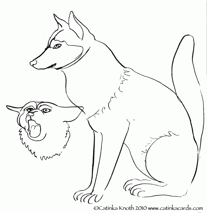 Husky Dog Coloring Pages | 99coloring.com