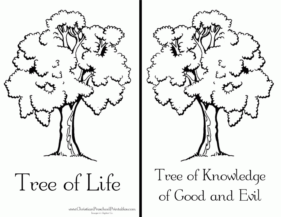 296 Simple Garden Of Eden Coloring Pages 