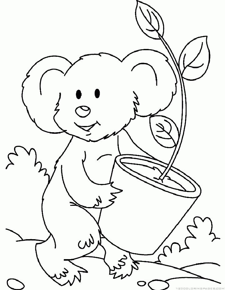 Koala Pictures To Print - Coloring Home
