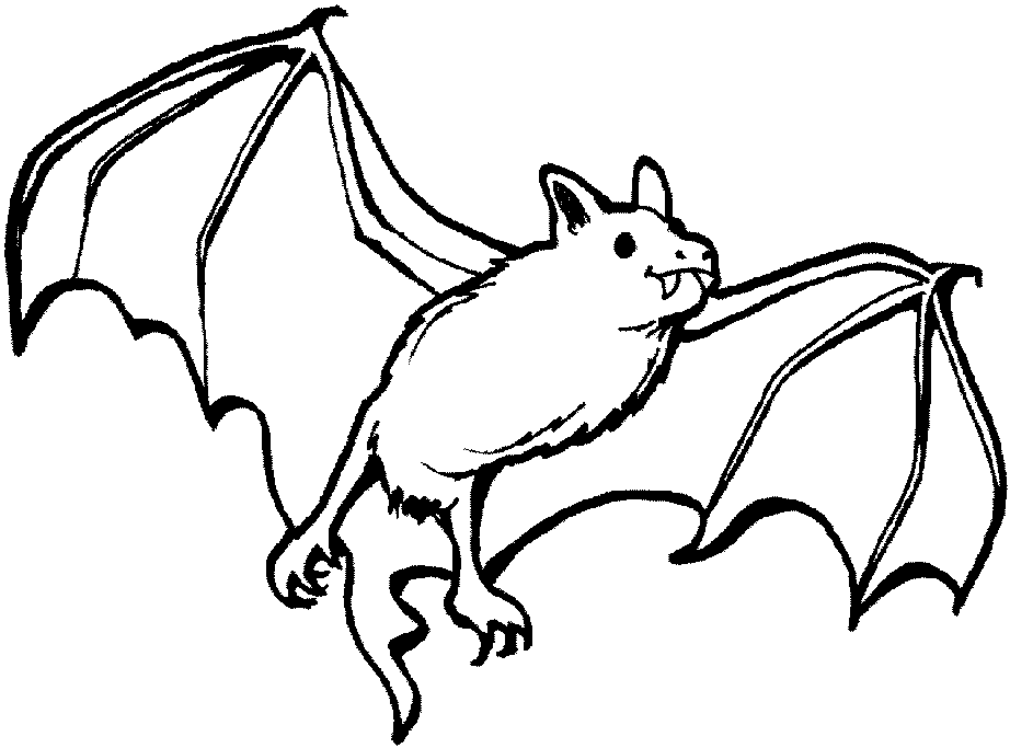 Free Bat Coloring Pages - Coloring Home