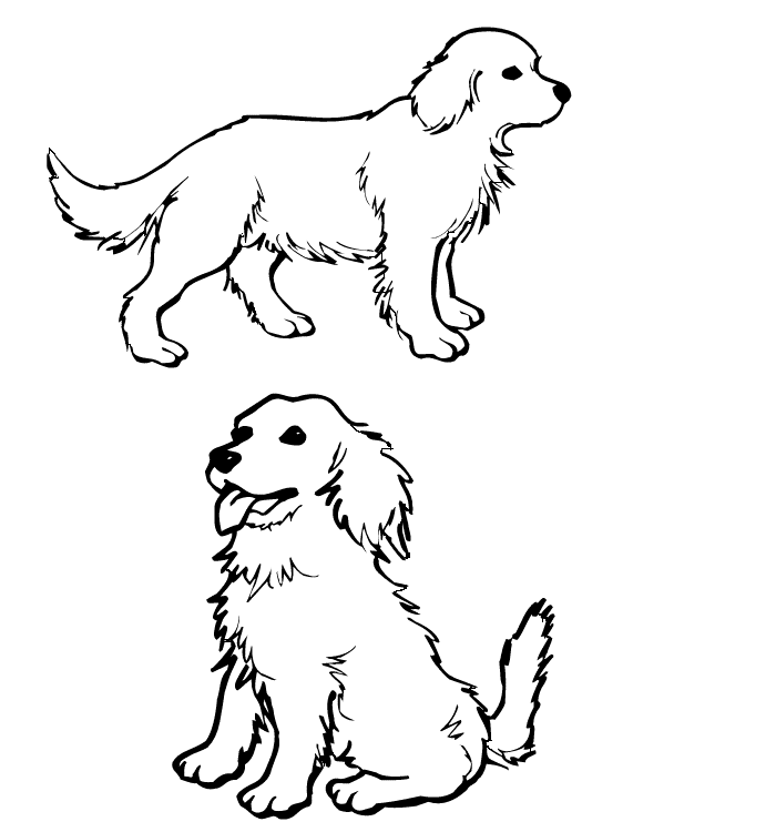 9 dog Colouring Pages