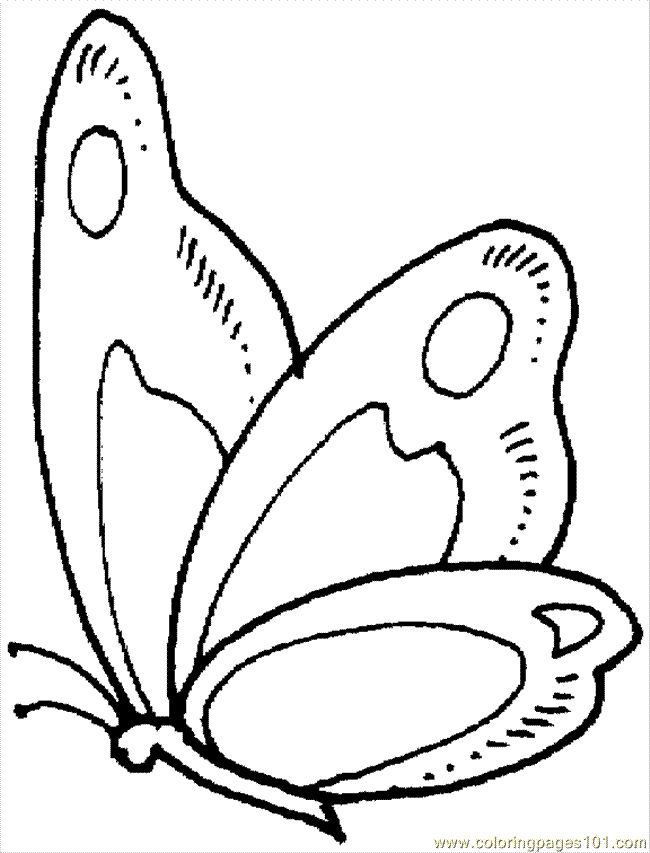 Coloring Pages 176 Butterfly5 (Insects > Butterfly) - free 