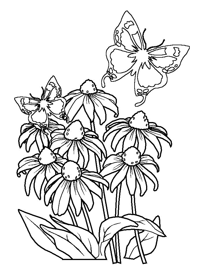 Coloring Pages Of Flowers And Butterflies - Coloring Home