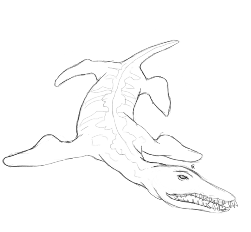 September 20th - Dinosaur Week Day 5 - Liopleurodon : SketchDaily