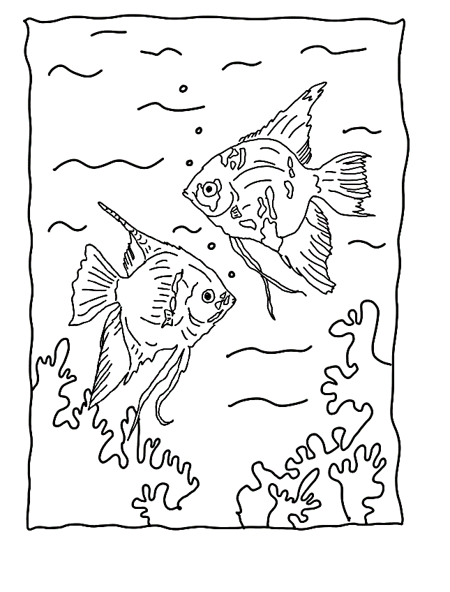 Coloring Pages Tropical Fish Home Angel Animal Printable Free