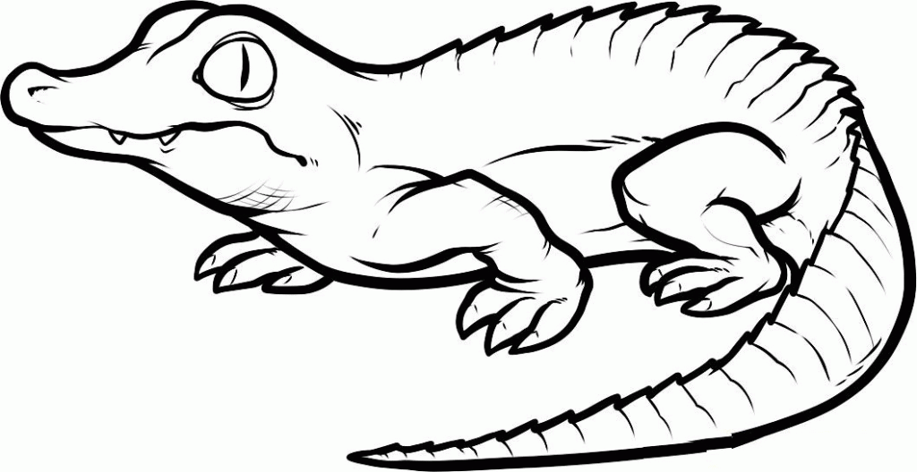 Crocodile Coloring Pages Free For Kids #2374 Disney Coloring Book 