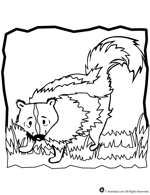 flower the skunk Colouring Pages