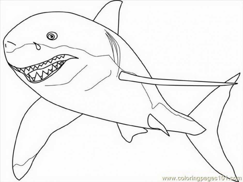 Great White Shark Coloring Page Coloring Pages Amp Pictures 
