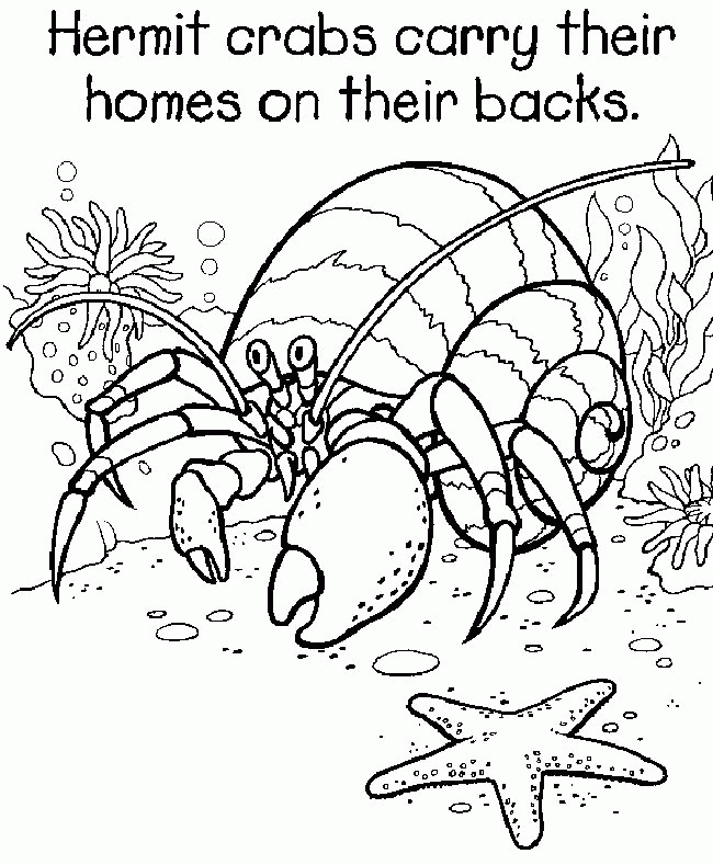 5th-grade-coloring-pages-coloring-home