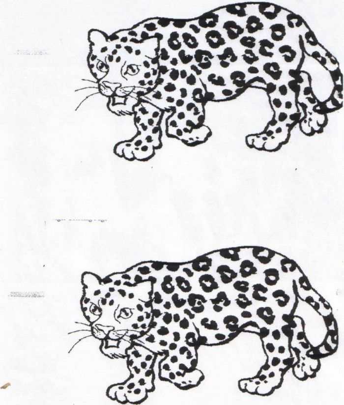 Baby Jaguar Coloring Pages Free | 99coloring.com