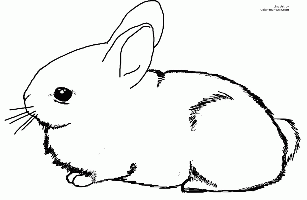 Bunny Rabbit Coloring Pages - Coloring For KidsColoring For Kids