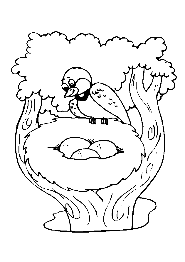 bird bird bird nest Colouring Pages (page 2)