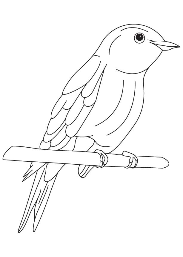 Bluebird of happiness coloring page | Download Free Bluebird of 