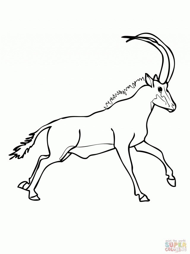 Sable Antelope Runs Coloring Online Super Coloring 147929 Antelope 