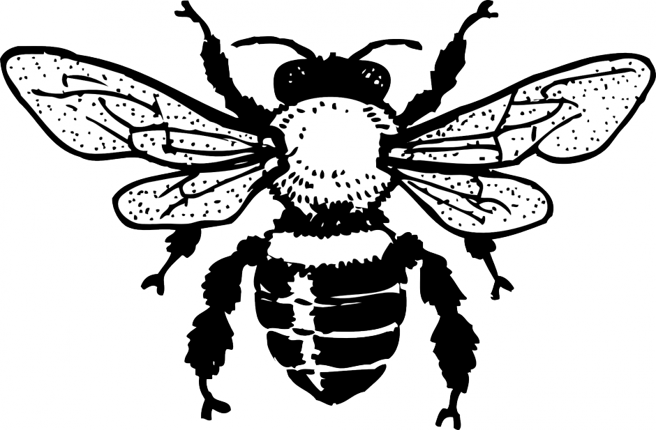 Bees Coloring Pages C0lor 264370 Bee Coloring Pages For Kids
