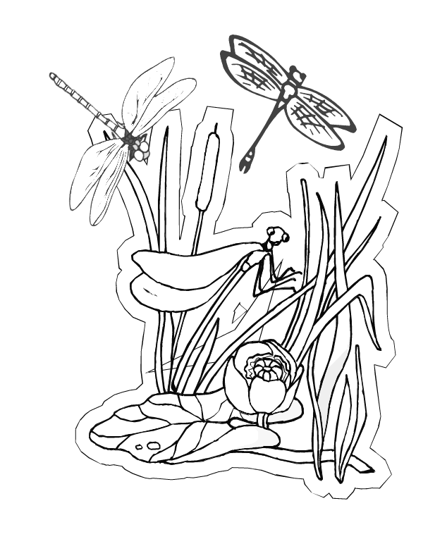 Dragonfly Coloring Pages - Coloring Home