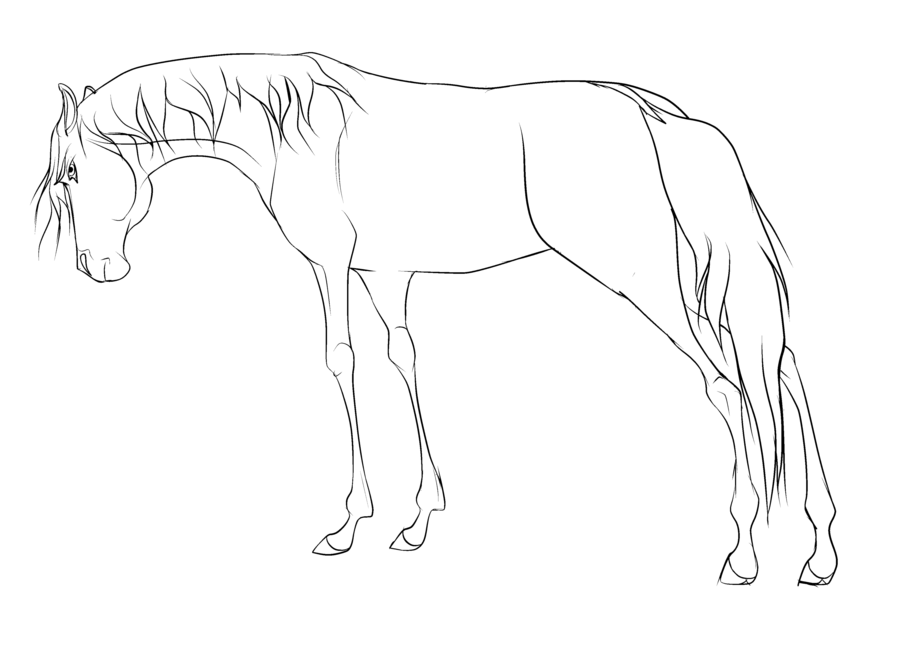 Free Horse Lineart Re-made by WolfWhisperer4Life