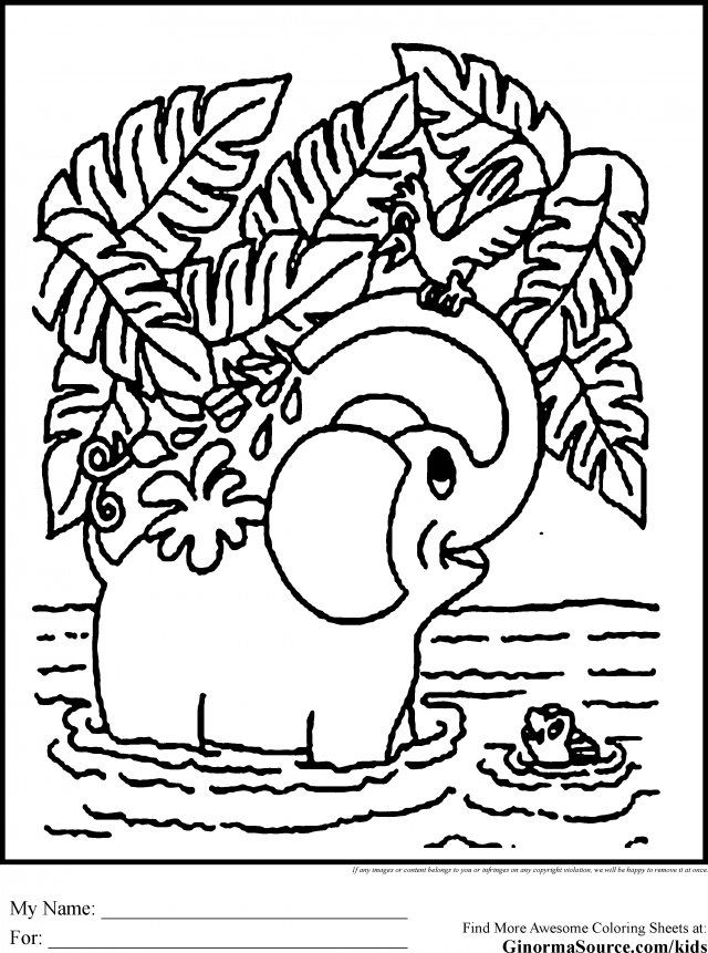 Animal Coloring Pages Elephants Ginorma Kids Best Id 86459 96586 