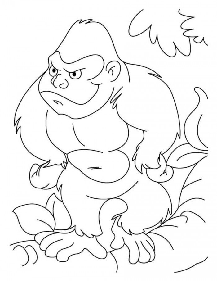Gorilla Coloring Sheets For Kids