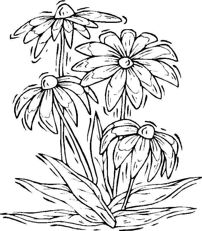 Free Nature Coloring Pages - Coloring Home
