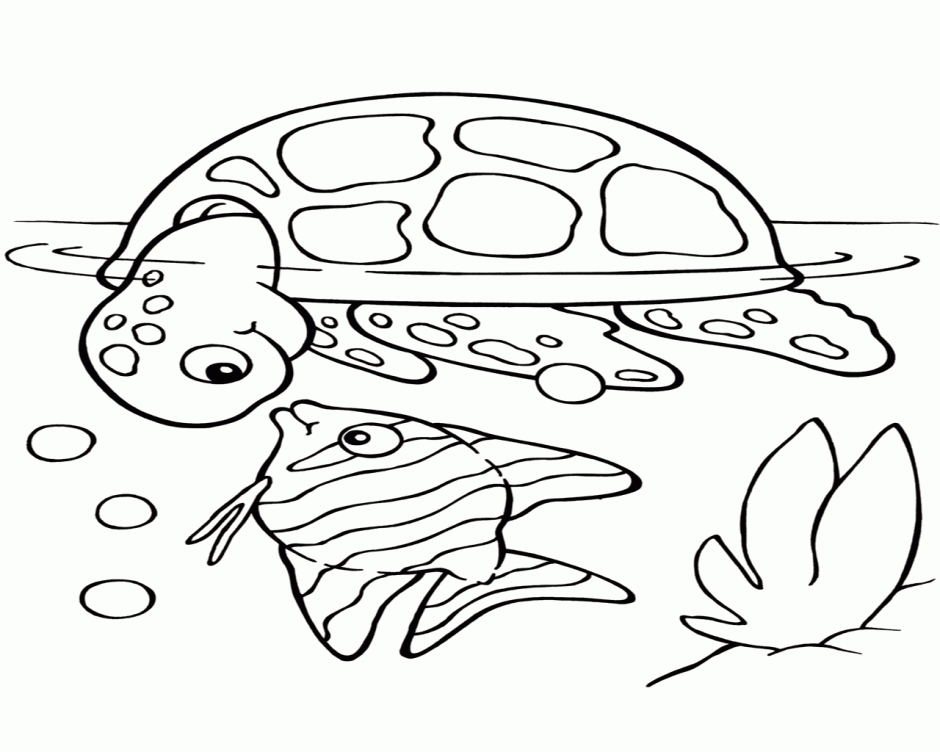 Realistic Fish Coloring Pages - Coloring Home