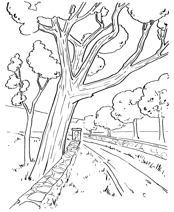 Bare Tree Coloring Page - Coloring Home